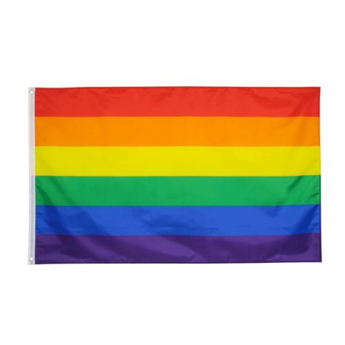 Regenbogenflagge LGBT-Pride 90 x 150 cm