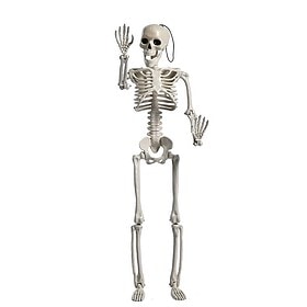 Halloween Hängedekoration Skelett 40 cm weiß