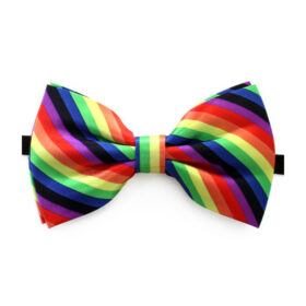 Fliege Pride Regenbogen