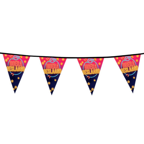 Wimpelkette Geslaagd Neon – 6 Meter – 15 Wimpel